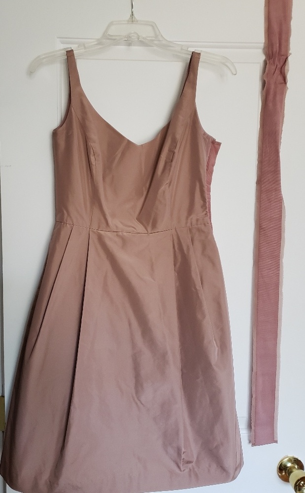 Mauve Ann Taylor dress